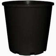 200mm Pot 4L